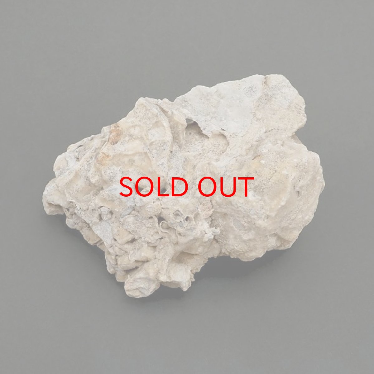 画像3: 【 一点物 】 国歌さざれ石 原石 岐阜県産 約503g national anthem of Japan stone 日本銘石 天然石 パワーストーン カラーストーン (3)