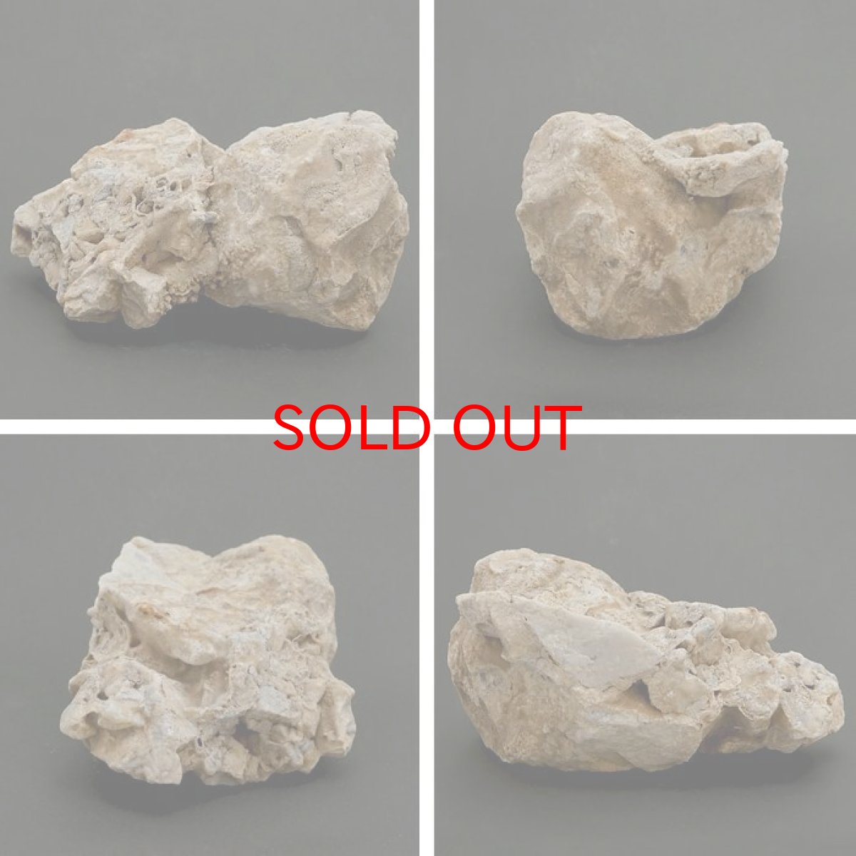 画像2: 【 一点物 】 国歌さざれ石 原石 岐阜県産 約503g national anthem of Japan stone 日本銘石 天然石 パワーストーン カラーストーン (2)