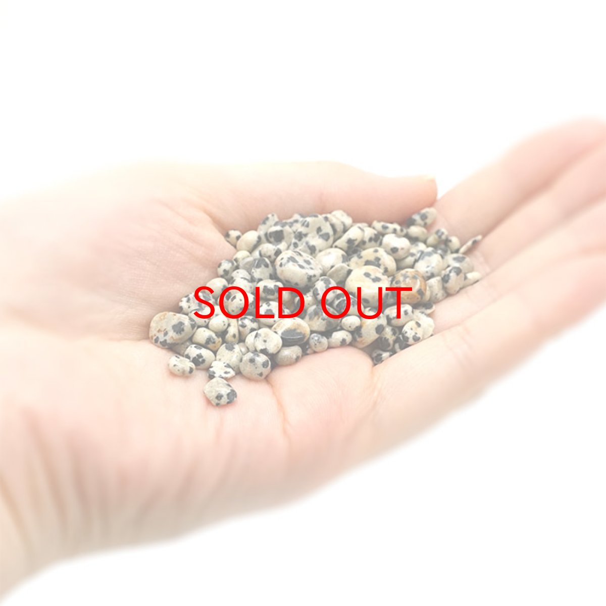 画像3: さざれ100g ダルメシアンジャスパー 天然石 パワーストーン さざれ石 穴無し (3)