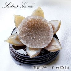 画像1: メノウ 蓮 ジオード ブラジル産 木製台座付き 426g 【 一点物 】 agate  蓮の花ジオード 瑪瑙 めのう ジオード 金運 財運 浄化 置き物 浄化 台座付き お守り 天然石 パワーストーン カラーストーン (1)