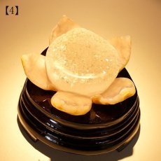 画像18: メノウ 蓮 ジオード ブラジル産 木製台座付き 【 一点物 】 agate  蓮の花ジオード 瑪瑙 めのう ジオード 金運 財運 浄化 置き物 浄化 台座付き お守り 天然石 パワーストーン カラーストーン (18)