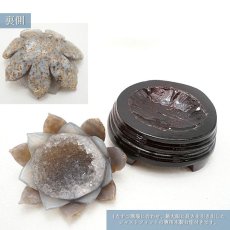 画像3: メノウ 蓮 ジオード ブラジル産 木製台座付き 556g 【 一点物 】 agate  蓮の花ジオード 瑪瑙 めのう ジオード 金運 財運 浄化 置き物 浄化 台座付き お守り 天然石 パワーストーン カラーストーン (3)