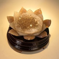 画像5: メノウ 蓮 ジオード ブラジル産 木製台座付き 556g 【 一点物 】 agate  蓮の花ジオード 瑪瑙 めのう ジオード 金運 財運 浄化 置き物 浄化 台座付き お守り 天然石 パワーストーン カラーストーン (5)