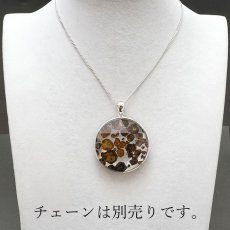 画像4: 【一点物】 パラサイト隕石 ペンダントトップ ラウンド 32.8g SV925 シルバー meteorite Parasite カラーストーン (4)