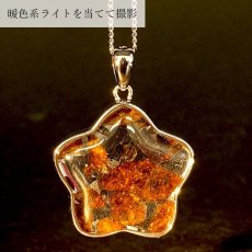 画像3: 【一点物】 パラサイト隕石 ペンダントトップ 星 9.5g SV925 シルバー meteorite Parasite カラーストーン (3)