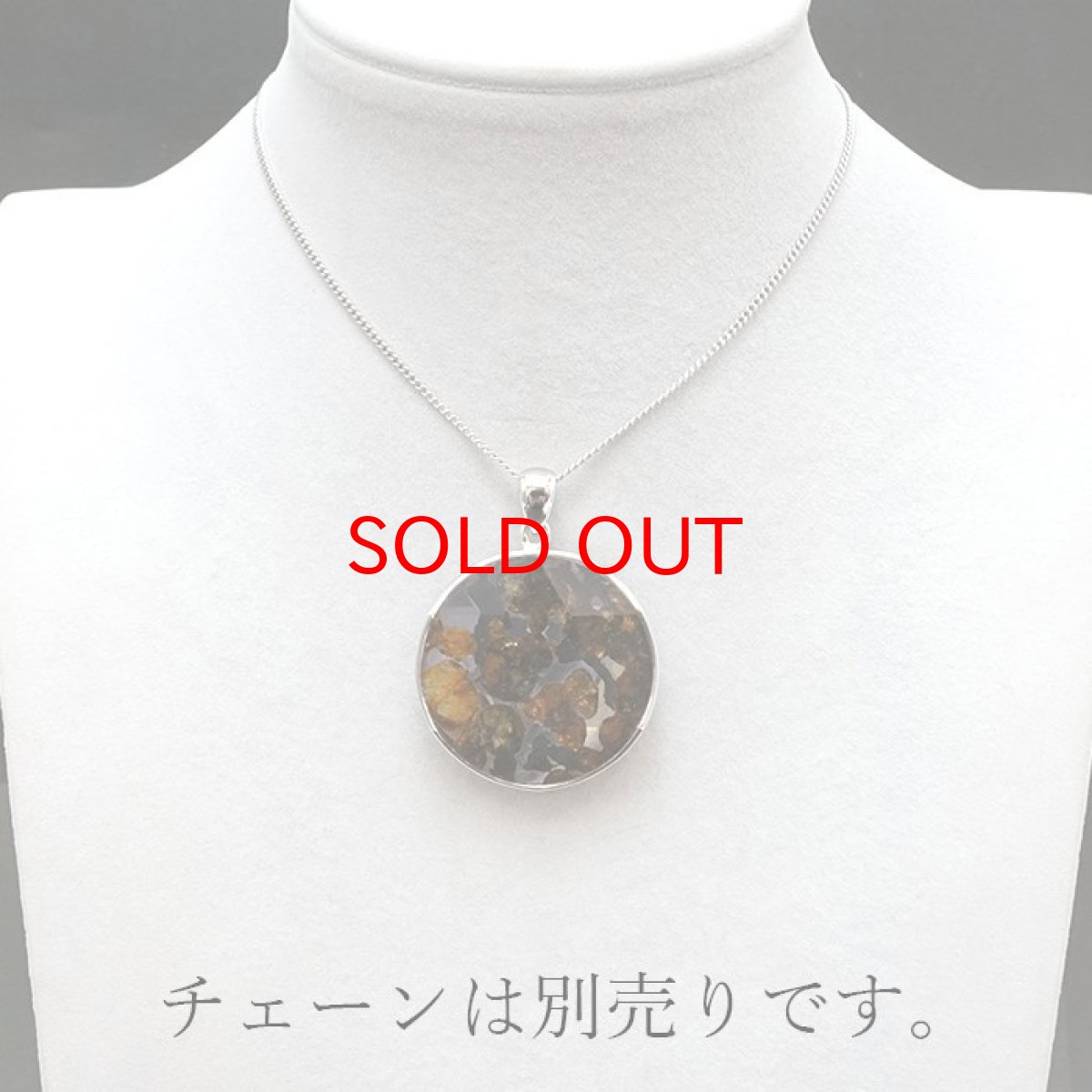 画像6: 【一点物】 パラサイト隕石 ペンダントトップ ラウンド SV925 シルバー meteorite Parasite カラーストーン (6)