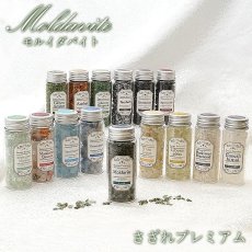 画像1: 【 さざれプレミアム 】 モルダバイト 95g チェコ産 ボトル 瓶 隕石 モルダウ石 カラーストーン パワーストーン 天然石 (1)