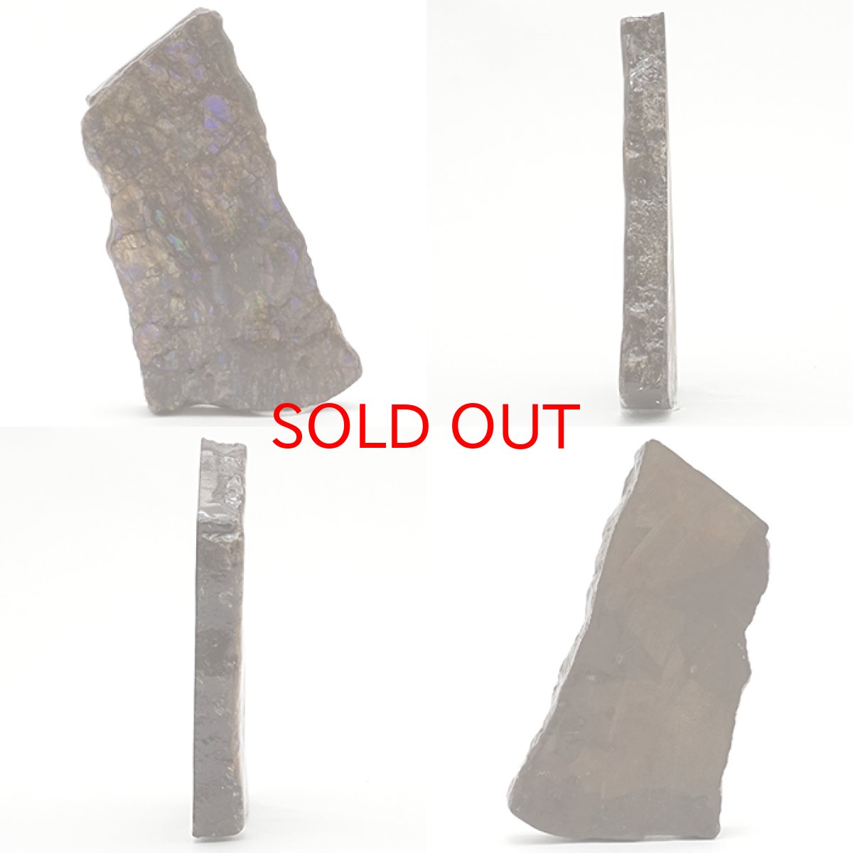 画像2: 【 一点物 】 アンモライト 原石 カナダ産 約26.1g アンモナイト 化石 希少石 お守り 天然石 パワーストーン カラーストーン (2)