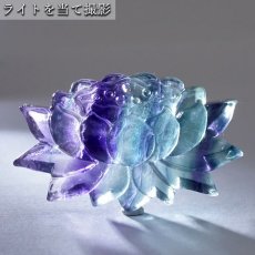 画像4: 【 一点もの 】 フローライト 蓮華 九尾 彫物 中国産 彫刻 Fluorite 蛍石 穴あき ペンダントトップ 天然石 パワーストーン カラーストーン (4)