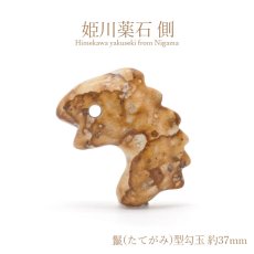 画像1: 姫川薬石 側 鬣(たてがみ)型勾玉 約37mm 新潟県産 日本銘石 パワーストーン 天然石 カラーストーン (1)