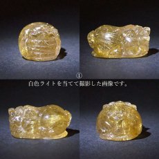 画像4: 貔貅 (ヒキュウ) ルチルクォーツ 彫り物 ブラジル産 【 一点物 】 rutile quartz brave troops 瑞獣 天然石 パワーストーン カラーストーン (4)