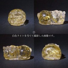 画像7: 貔貅 (ヒキュウ) ルチルクォーツ 彫り物 ブラジル産 【 一点物 】 rutile quartz brave troops 瑞獣 天然石 パワーストーン カラーストーン (7)