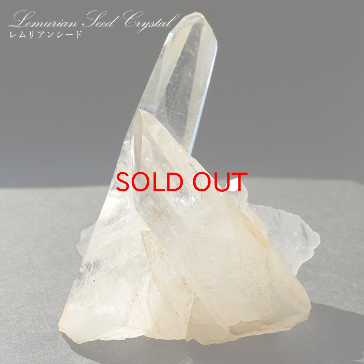 画像1: 【石の日SALE 14%OFF】 【 一点もの 】 レムリアンシード 水晶 原石 クラスター 139.0g コロンビア産 Lemurian Seed 稀少石 浄化 天然石 パワーストーン カラーストーン (1)