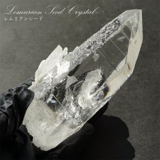 画像1: 【 一点もの 】 レムリアンシード 水晶 原石 ポイント コロンビア産 Lemurian Seed 稀少石 浄化 天然石 パワーストーン カラーストーン (1)