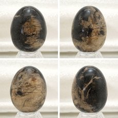 画像2: ペトリファイドパームウッド エッグ 卵型 一点もの インドネシア産 天然石 パワーストーン (2)
