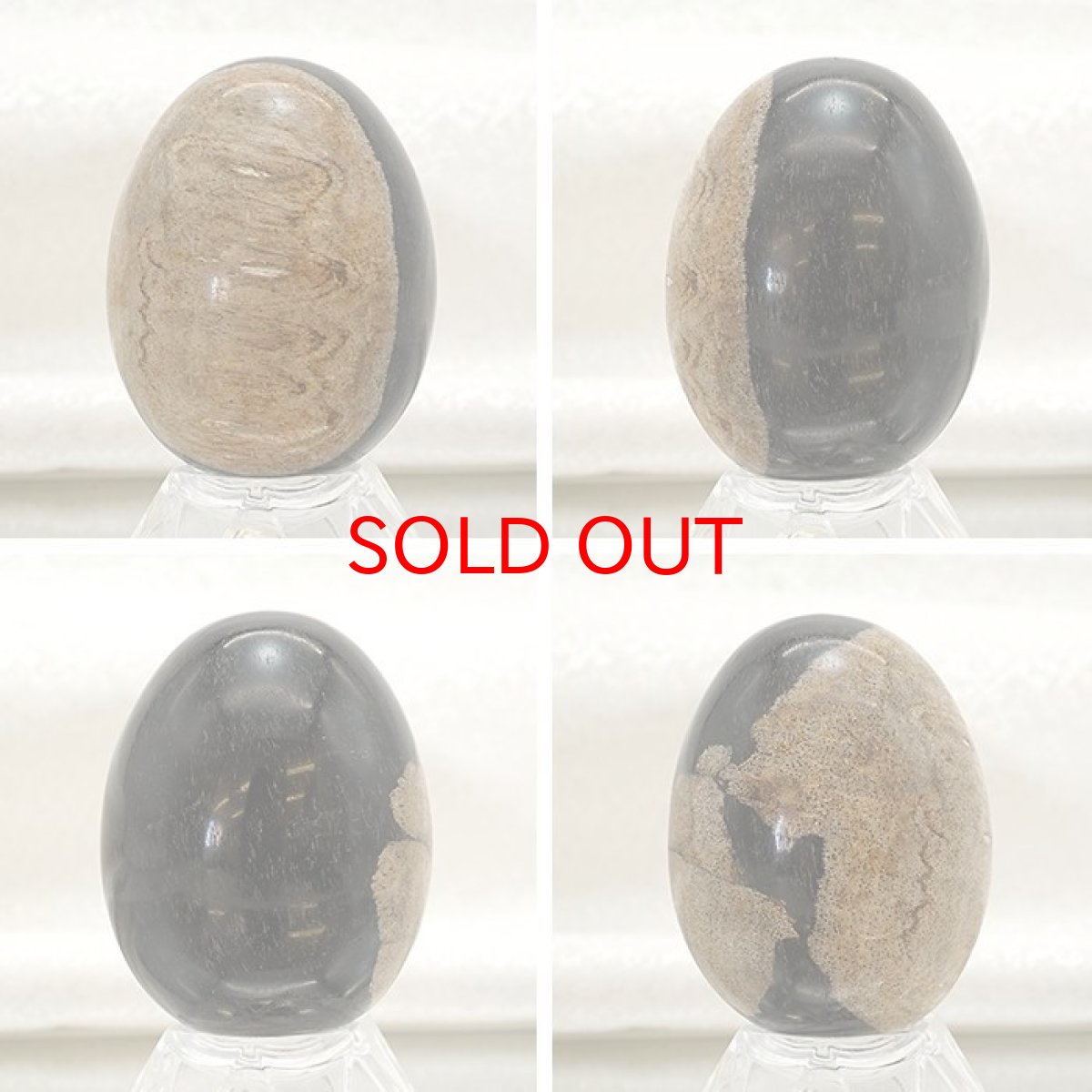 画像2: ペトリファイドパームウッド エッグ 卵型 一点もの インドネシア産 天然石 パワーストーン (2)