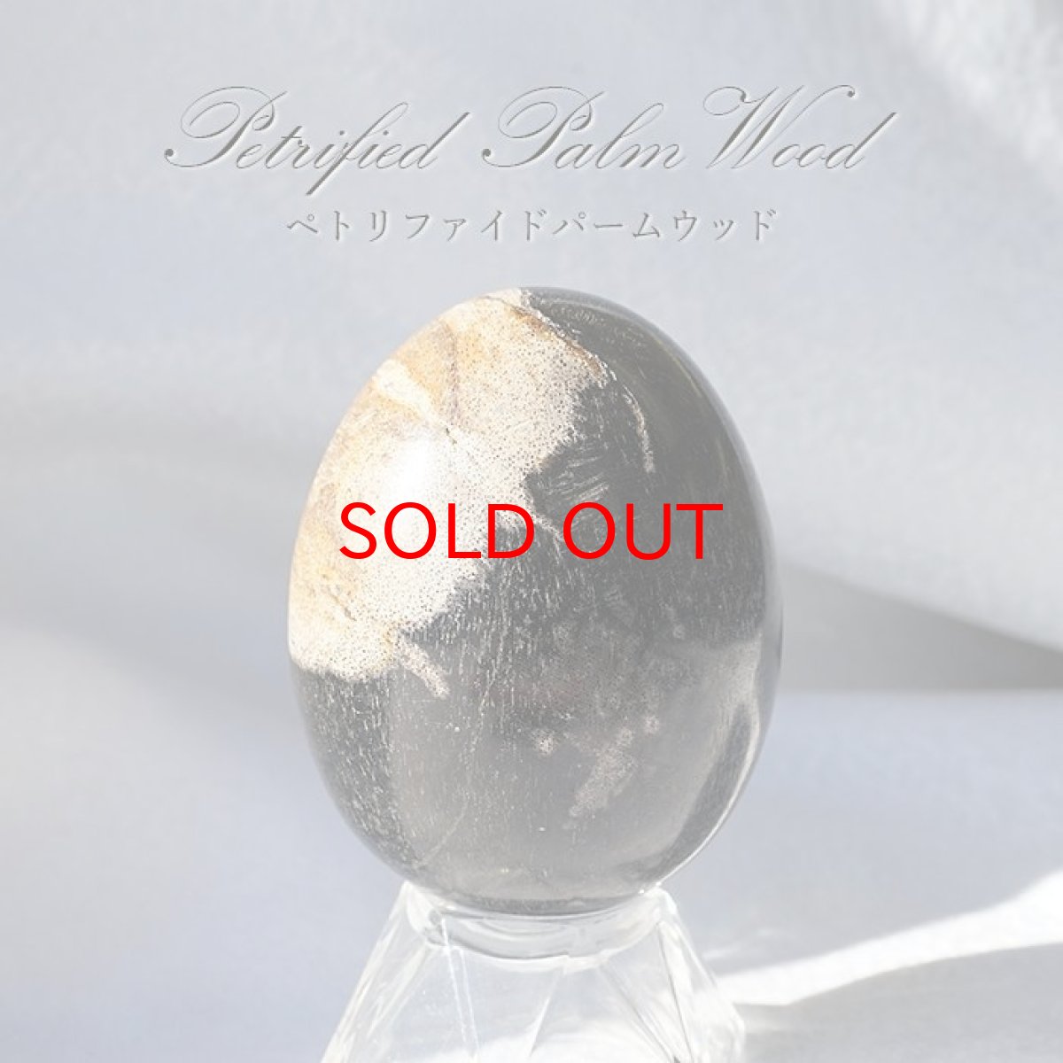 画像1: 【SALE 20%OFF】 ペトリファイドパームウッド エッグ 卵型 一点もの インドネシア産 天然石 パワーストーン (1)
