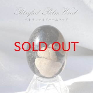 あ〜きゃん♬様 高品質 ホワイトペトリファイドウッド パーム 握り石 珪化