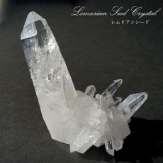 画像1: レムリアンシード 水晶 原石 クラスター 103.0g コロンビア産 一点物  Lemurian Seed 稀少石 浄化 天然石 パワーストーン カラーストーン (1)