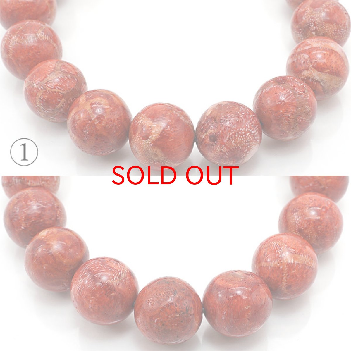 画像2: 天然山サンゴ 12.0〜13.0mm Aランク ブレスレット インドネシア産 【 一点もの 】 mountain coral 浄化 天然石 パワーストーン カラーストーン (2)