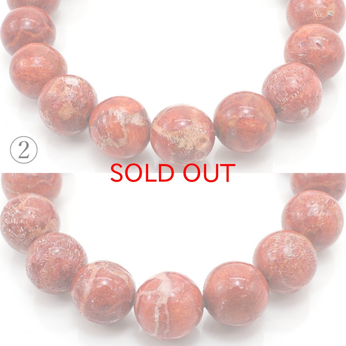 画像4: 天然山サンゴ 12.0〜13.0mm Aランク ブレスレット インドネシア産 【 一点もの 】 mountain coral 浄化 天然石 パワーストーン カラーストーン (4)