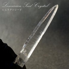 画像1: レムリアンシード 水晶 原石 コロンビア産 一点物 Lemurian Seed 稀少石 浄化 天然石 パワーストーン カラーストーン (1)