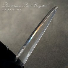 画像1: レムリアンシード 水晶 原石 コロンビア産 一点物 Lemurian Seed 稀少石 浄化 天然石 パワーストーン カラーストーン (1)