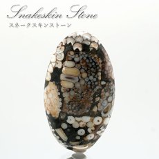 画像1: スネ―クスキンストーン ルース インドネシア産 Snakeskin Stone オーバル形 希少石 裸石 天然石 パワーストーン (1)