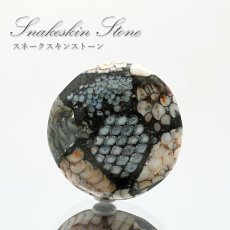 画像1: スネ―クスキンストーン ルース インドネシア産 Snakeskin Stone ラウンド形 希少石 裸石 天然石 パワーストーン (1)