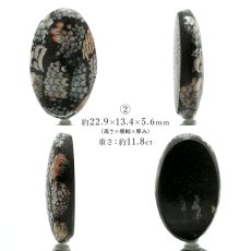 画像3: スネ―クスキンストーン ルース インドネシア産 Snakeskin Stone オーバル形 希少石 裸石 天然石 パワーストーン (3)