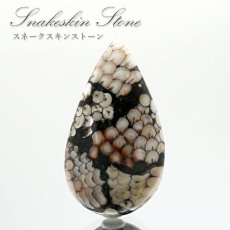 画像1: スネ―クスキンストーン ルース インドネシア産 Snakeskin Stone ドロップ形 希少石 裸石 天然石 パワーストーン (1)