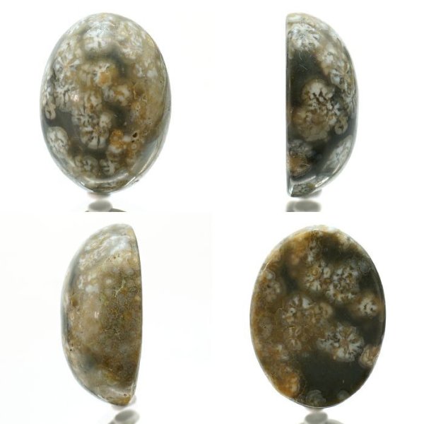 美石　錦石　難あり 美石 錦石 難あり 【公式通販】