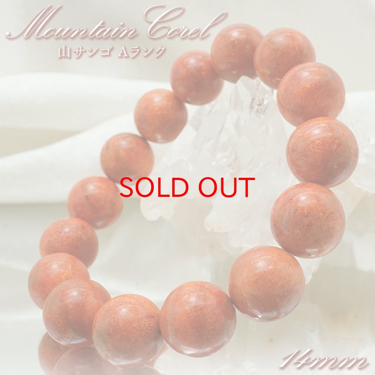 画像1: 【20%OFFセール】 天然山サンゴ 14mm Aランク ブレスレット インドネシア産 【 一点もの 】 mountain coral 浄化 天然石 パワーストーン カラーストーン (1)