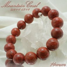 画像1: 天然山サンゴ 14mm Aランク ブレスレット インドネシア産 【 一点もの 】 mountain coral 浄化 天然石 パワーストーン カラーストーン (1)