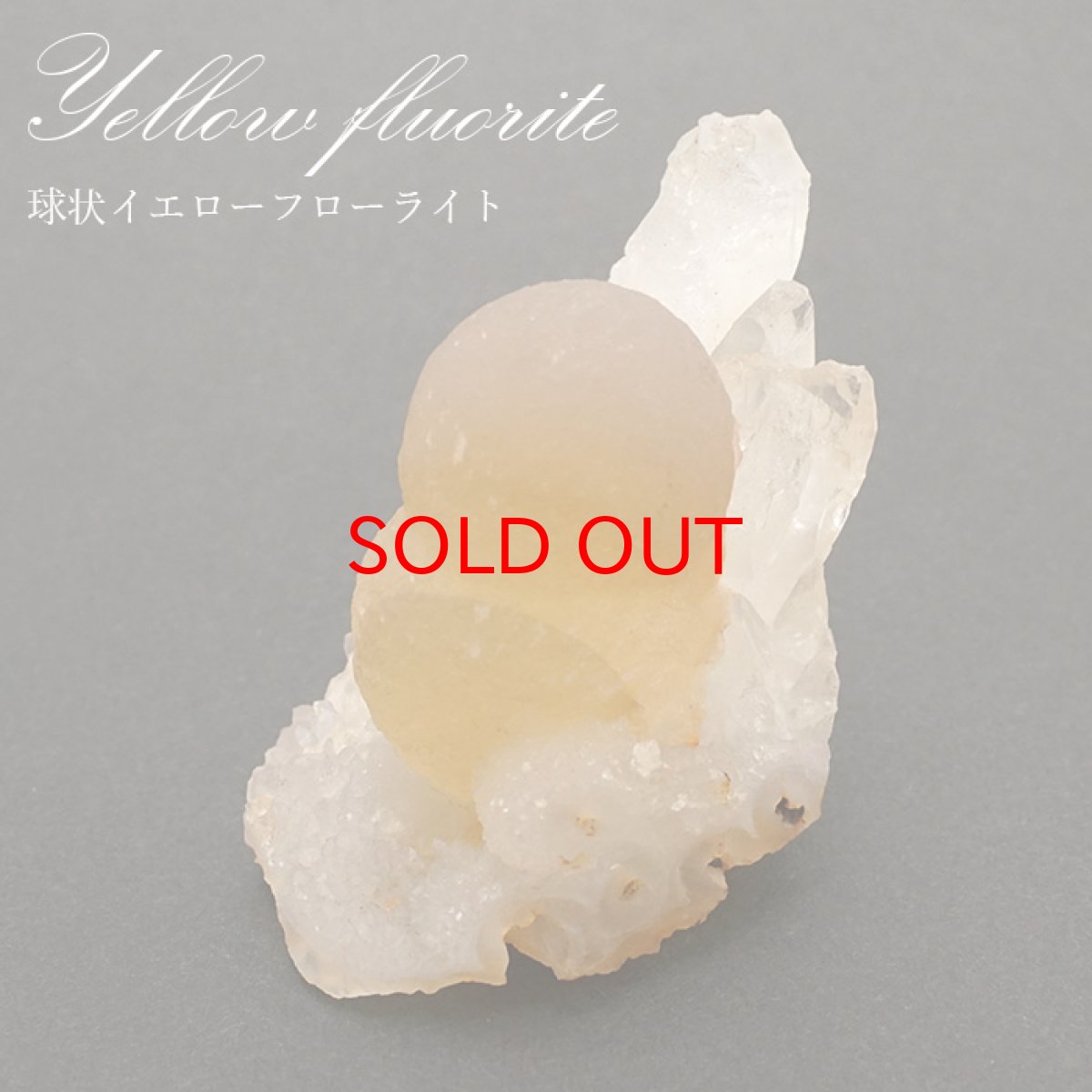 画像1: 球状イエローフローライト 原石 全2種 【一点物】 インド産 fluorite 稀少石 浄化 天然石 パワーストーン カラーストーン (1)