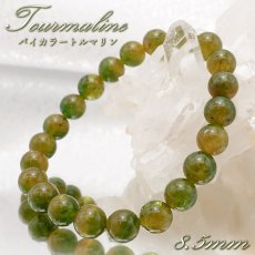 画像1: バイカラートルマリン ブレスレット 8.5mm ブラジル産 【 一点物 】 Bicolor Tourmaline トルマリン 10月誕生石 電気石 グリーン イエロー 天然石 パワーストーン カラーストーン (1)