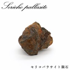 画像1: セリコパラサイト隕石 原石 ケニア産 【一点もの】 Serico meteorite セリコ 隕石 パラサイト Parasite お守り 天然石 パワーストーン カラーストーン (1)