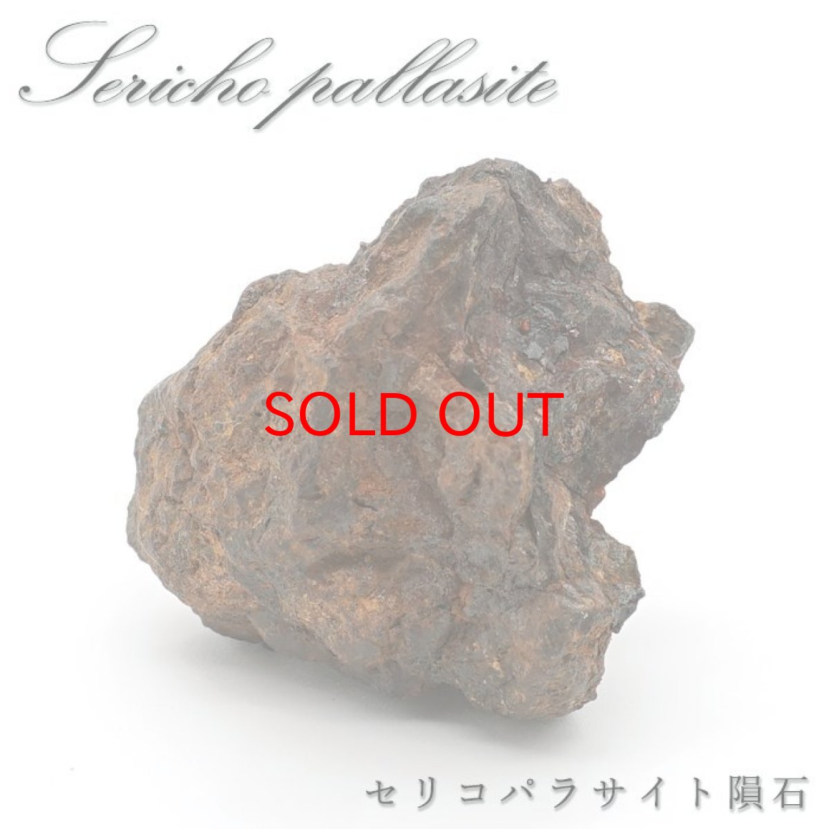 画像1: セリコパラサイト隕石 原石 ケニア産 【一点もの】 Serico meteorite セリコ 隕石 パラサイト Parasite お守り 天然石 パワーストーン カラーストーン (1)