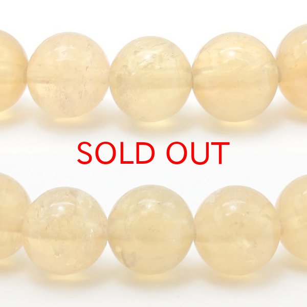 ゴールデンタンビュライト 10241555_508790fff0023.jpg