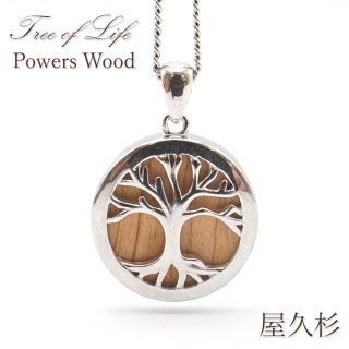 ゴールドルチル 金運 仕事運 金紅石入り水晶 オリジナル絵の具