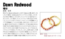 画像5: 曙杉 赤 10mm ブレスレット 日本産 アケボノスギ メタセコイア パワーズウッド 天然木 (5)