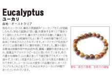 画像5: ユーカリ 10mm ブレスレット オーストラリア産 Eucalyptus ユーカリプタス パワーズウッド 天然木 (5)