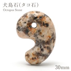 画像1: 犬島石(タコ石） 大30mm 勾玉 岡山県犬島産 日本の石 日本銘石 Octopus Stone 天然石 パワーストーン カラーストーン (1)