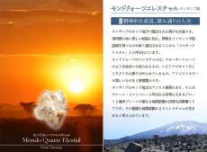 画像9: モンドクォーツエレスチャル 原石 タンザニア産 【 一点もの 】水晶 スモーキークォーツ エレスチャル 稀少石 浄化 天然石 パワーストーン (9)