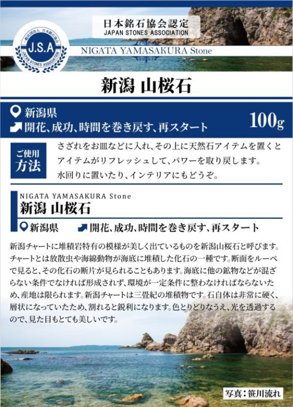 日本製 自社製 日本銘石協会 正規代理店 化石 時間を巻き戻す 再