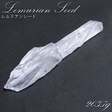 画像1: レムリアンルーツ 原石 ブラジル産 一点物 Lemurian Seed 稀少石 浄化 天然石 パワーストーン カラーストーン (1)