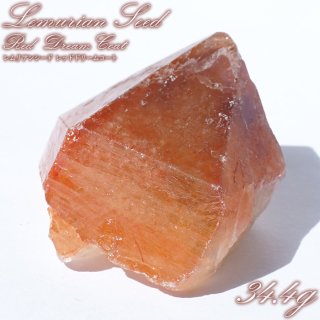 天才の石 受験 受験のお守り 集中力 思考力 癒し コレクション 高品質