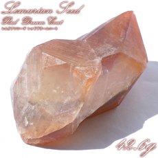 画像1: 【石の日SALE 14%OFF】 レムリアンレッドドリームコート 原石 ブラジル産 一点物 Lemurian Seed 稀少石 浄化 天然石 パワーストーン カラーストーン (1)