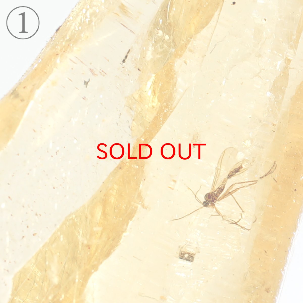 画像4: 虫入り コパル 琥珀 原石 マダガスカル産 アンバー 【一点もの】 天然 昆虫 Copal 天然石 パワーストーン カラーストーン (4)