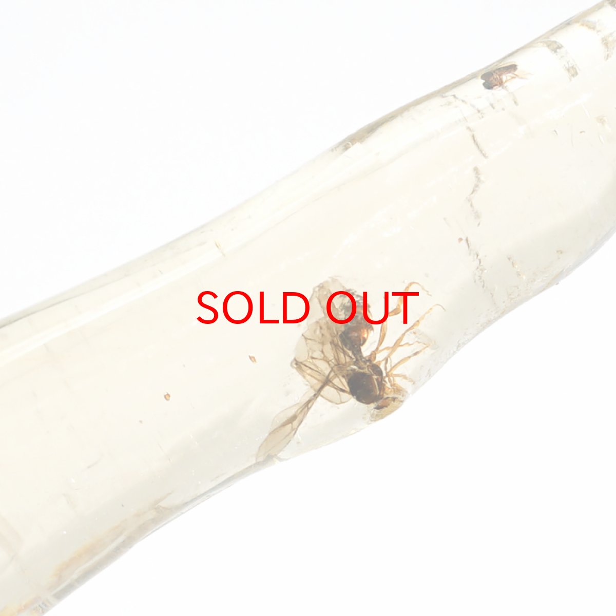 画像4: 虫入り コパル 琥珀 原石 マダガスカル産 アンバー 【一点もの】 天然 昆虫 Copal 天然石 パワーストーン カラーストーン (4)